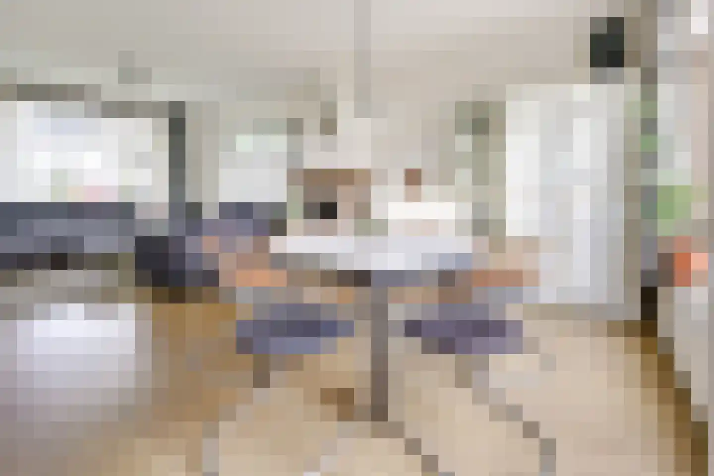 Koningin Julianastraat 28 Houten thumbnail 6