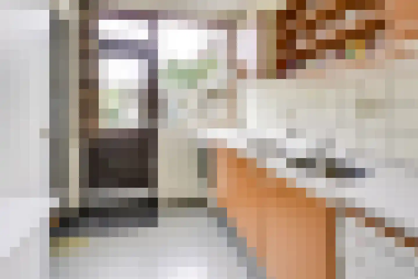Koningin Julianastraat 28 Houten thumbnail 9
