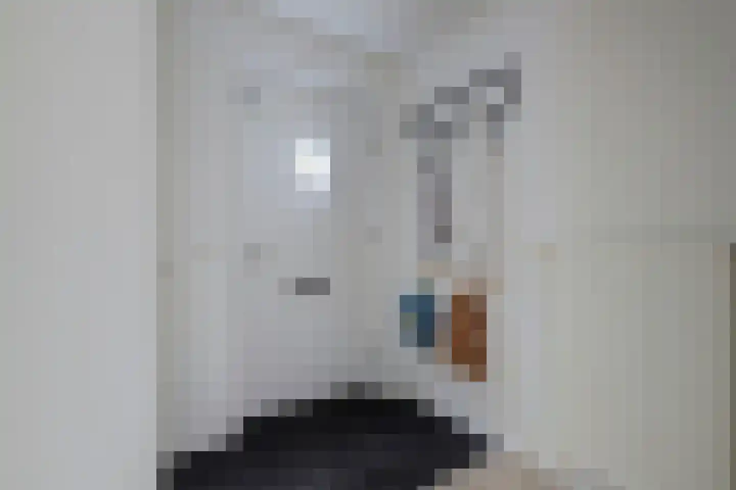 Koningin Julianastraat 28 Nootdorp thumbnail 20