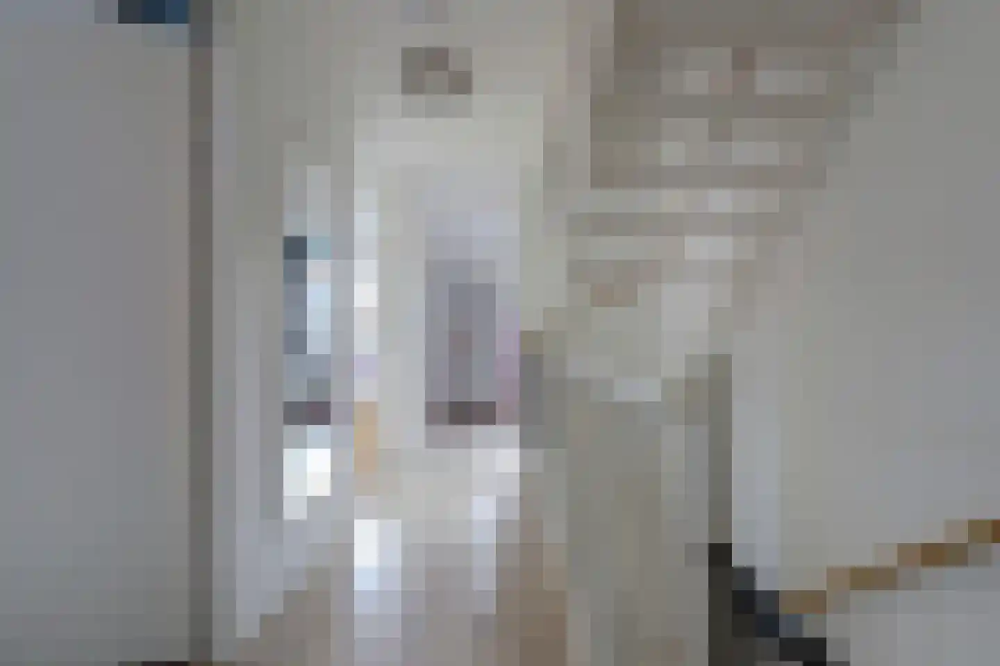 Koningin Julianastraat 28 Nootdorp thumbnail 30