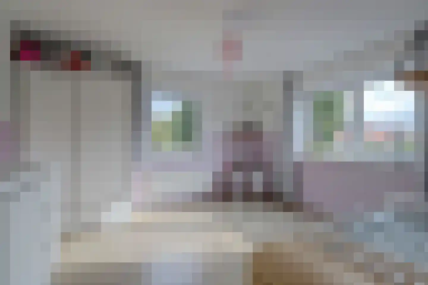 Koningin Julianastraat 28 Nootdorp thumbnail 37