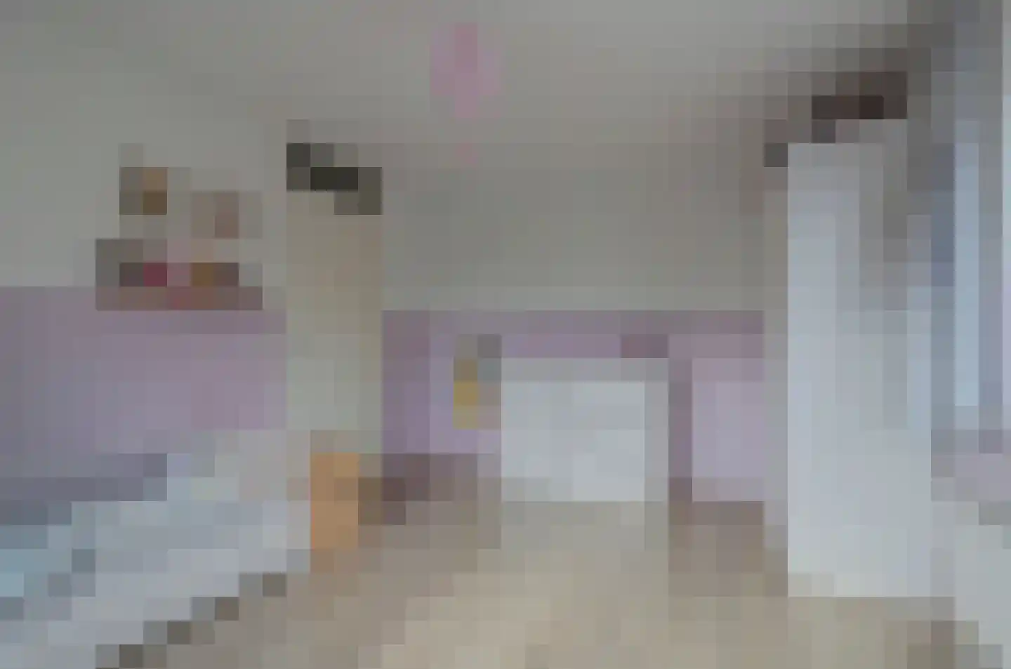 Koningin Julianastraat 28 Nootdorp thumbnail 38