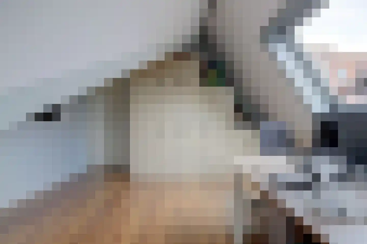 Koningin Julianastraat 28 Nootdorp thumbnail 40