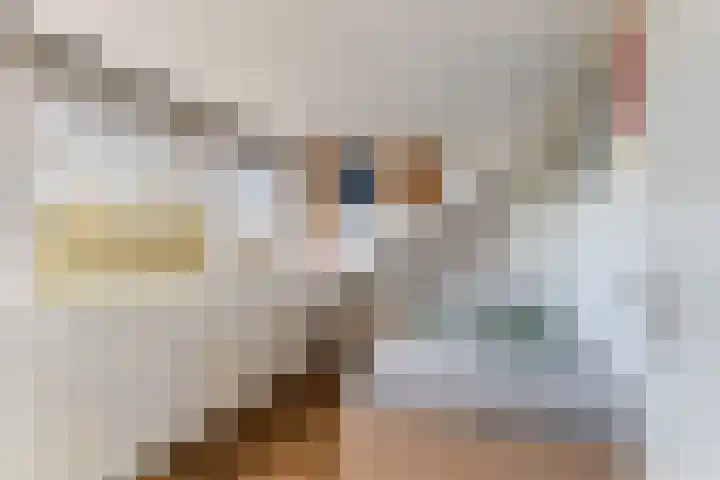 Koningin Julianastraat 29 Berkenwoude thumbnail 35
