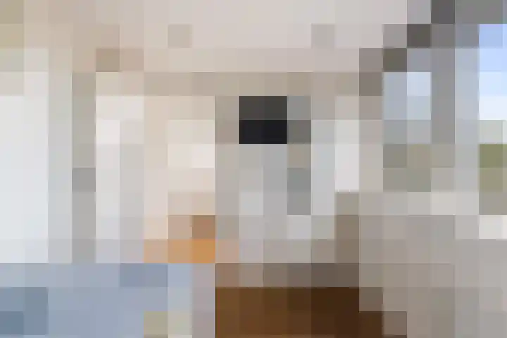 Koningin Julianastraat 29 Berkenwoude thumbnail 36