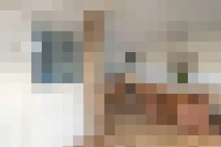 Koningin Julianastraat 29 Berkenwoude thumbnail 5