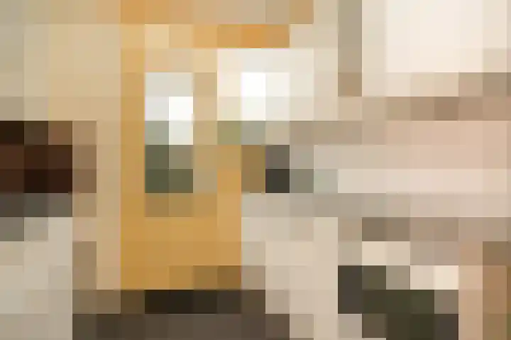 Koningin Julianastraat 31 Meerkerk thumbnail 11