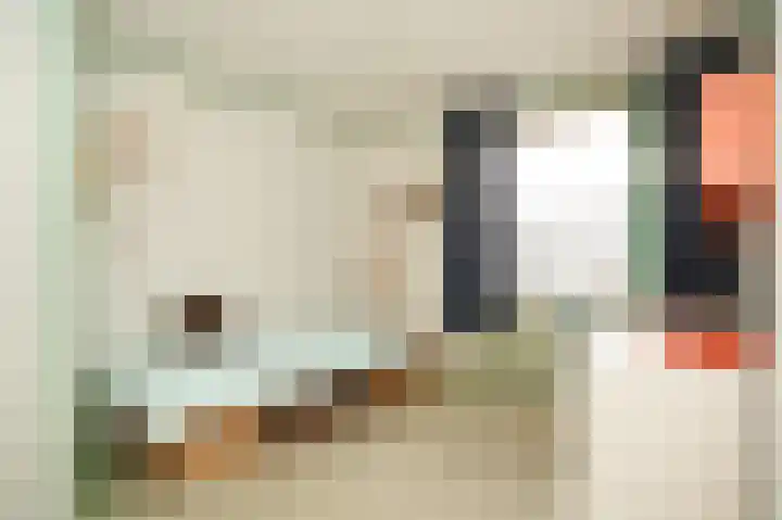 Koningin Julianastraat 31 Meerkerk thumbnail 16