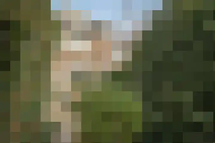 Koningin Julianastraat 31 Meerkerk thumbnail 23
