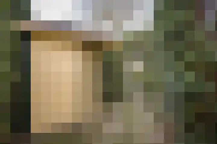 Koningin Julianastraat 31 Meerkerk thumbnail 28