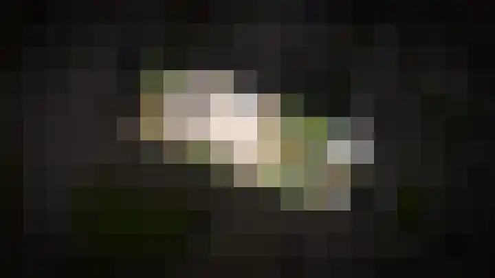 Koningin Julianastraat 31 Meerkerk thumbnail 32