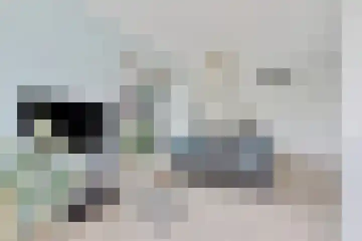 Koningin Julianastraat 33 Harlingen thumbnail 4