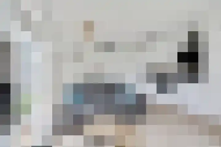 Koningin Julianastraat 33 Harlingen thumbnail 5