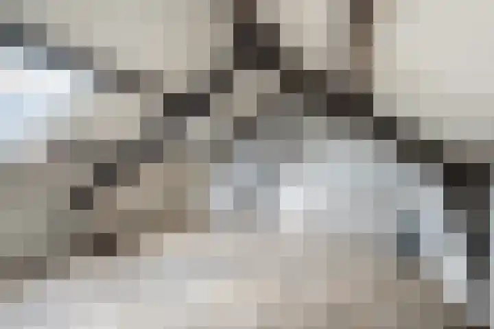 Koningin Julianastraat 37 Tholen thumbnail 27