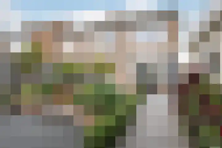 Koningin Julianastraat 37 Tholen thumbnail 33