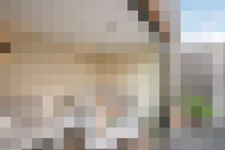Koningin Julianastraat 37 Tholen thumbnail 5
