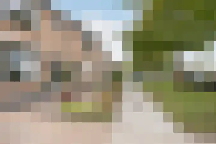 Koningin Julianastraat 37 Tholen thumbnail 7