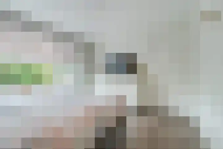Koningin Julianastraat 38 Bergeijk thumbnail 11