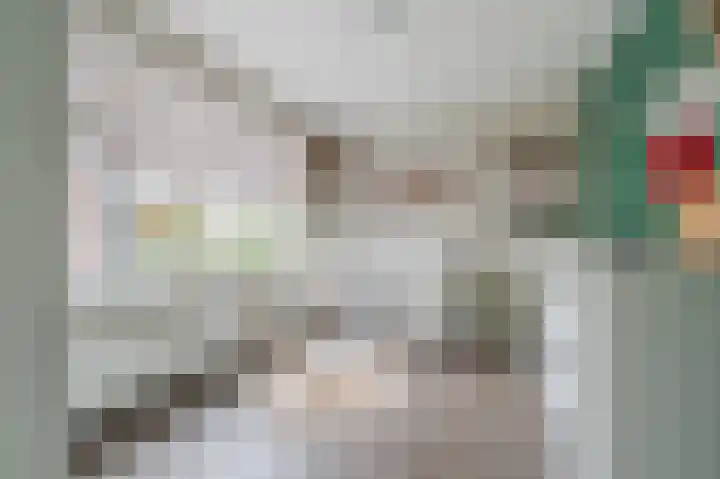 Koningin Julianastraat 38 Bergeijk thumbnail 12