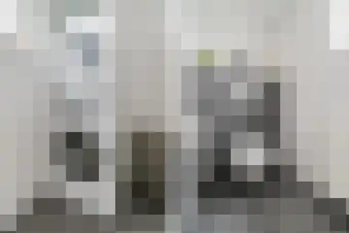 Koningin Julianastraat 38 Bergeijk thumbnail 17