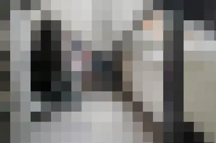 Koningin Julianastraat 38 Bergeijk thumbnail 19