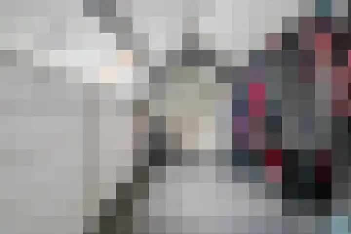 Koningin Julianastraat 38 Bergeijk thumbnail 20