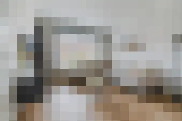 Koningin Julianastraat 38 Bergeijk thumbnail 4