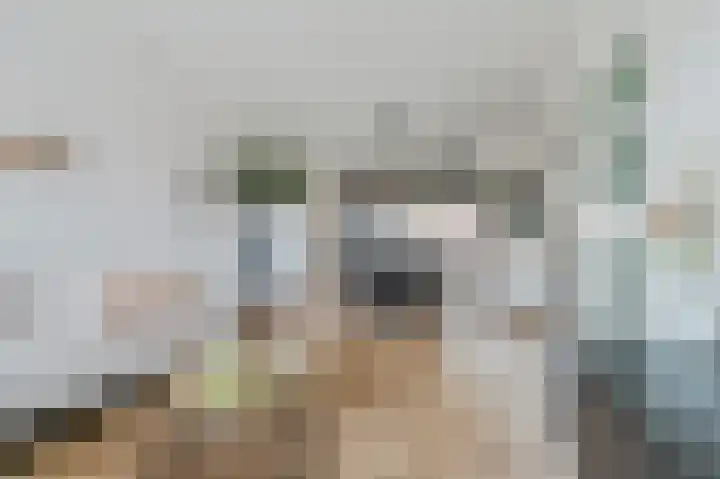 Koningin Julianastraat 38 Bergeijk thumbnail 5