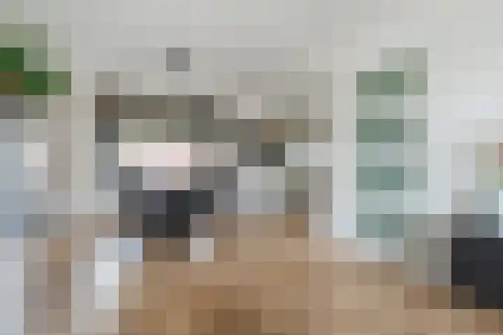 Koningin Julianastraat 38 Bergeijk thumbnail 6