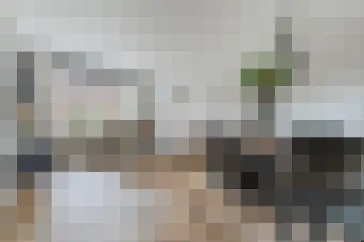 Koningin Julianastraat 38 Bergeijk thumbnail 7