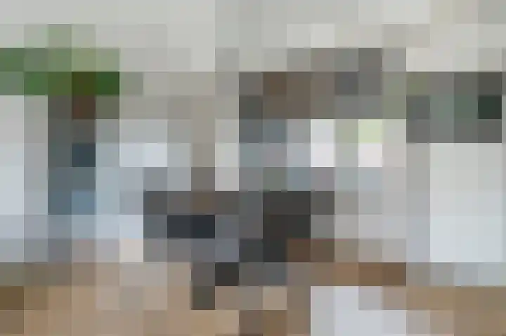 Koningin Julianastraat 38 Bergeijk thumbnail 8