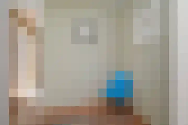 Koningin Julianastraat 38 Nootdorp thumbnail 11