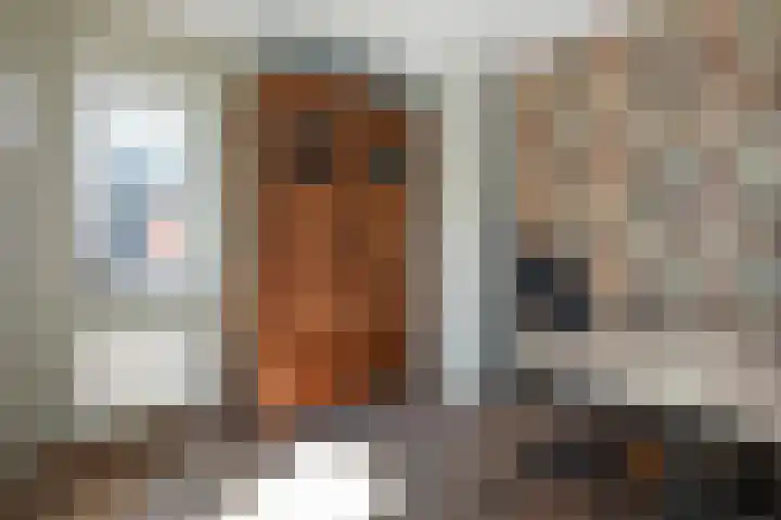 Koningin Julianastraat 38 Nootdorp thumbnail 12