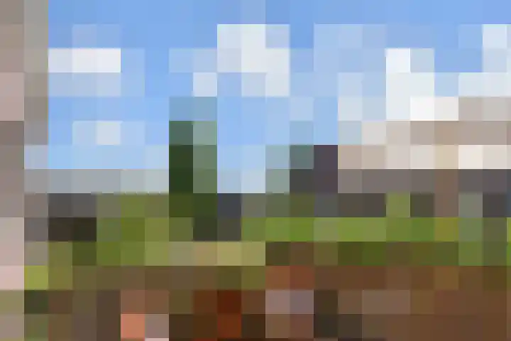 Koningin Julianastraat 38 Nootdorp thumbnail 16