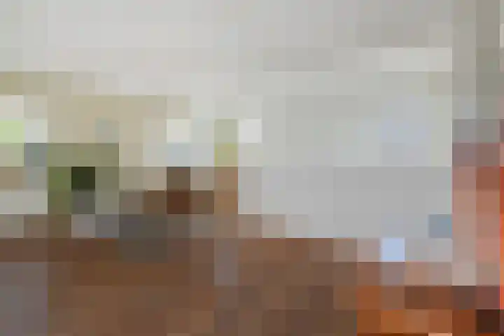 Koningin Julianastraat 38 Nootdorp thumbnail 21
