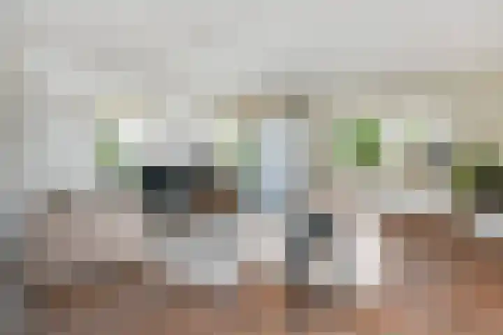 Koningin Julianastraat 38 Nootdorp thumbnail 22