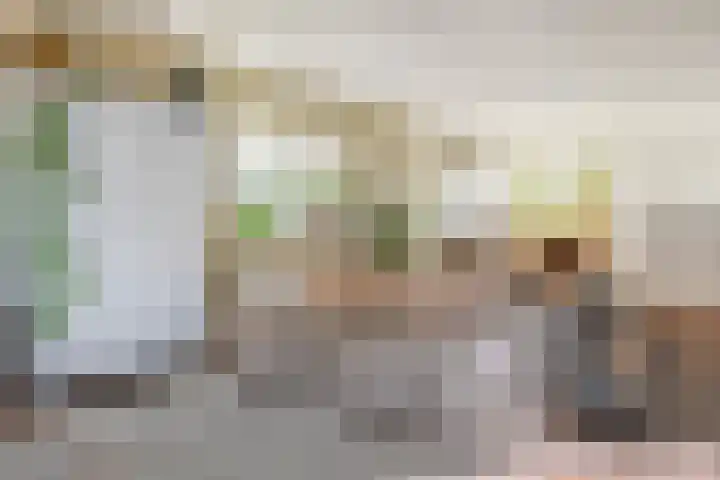 Koningin Julianastraat 38 Nootdorp thumbnail 25