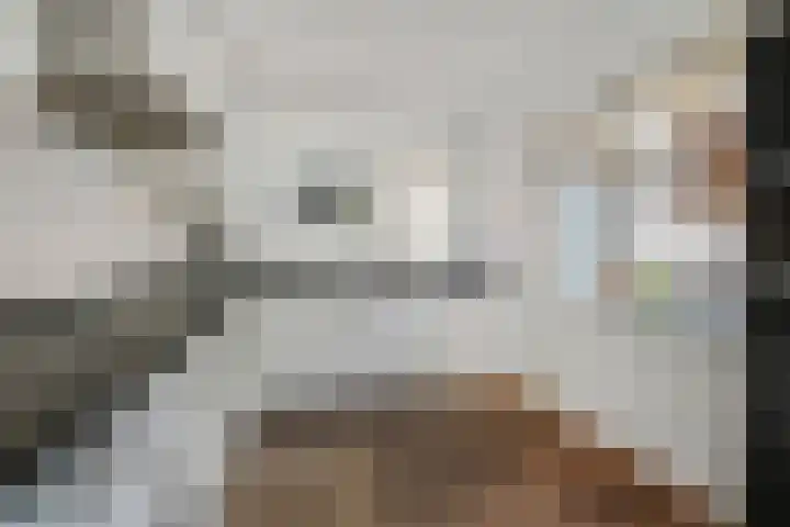 Koningin Julianastraat 38 Nootdorp thumbnail 26