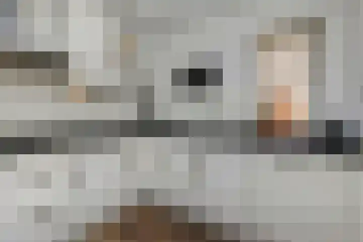Koningin Julianastraat 38 Nootdorp thumbnail 27