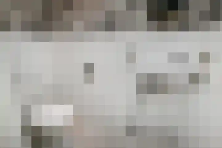 Koningin Julianastraat 38 Nootdorp thumbnail 34