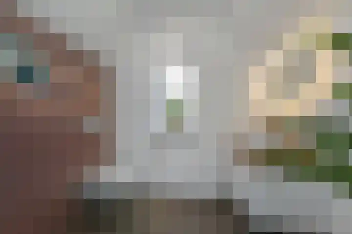 Koningin Julianastraat 38 Nootdorp thumbnail 38