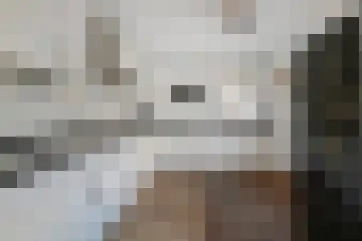 Koningin Julianastraat 38 Nootdorp thumbnail 4