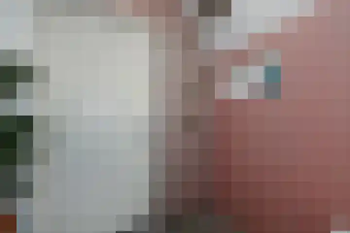 Koningin Julianastraat 38 Nootdorp thumbnail 41