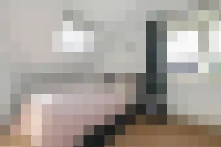 Koningin Julianastraat 38 Nootdorp thumbnail 43