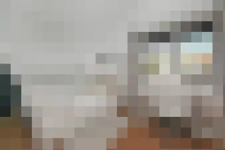 Koningin Julianastraat 38 Nootdorp thumbnail 44