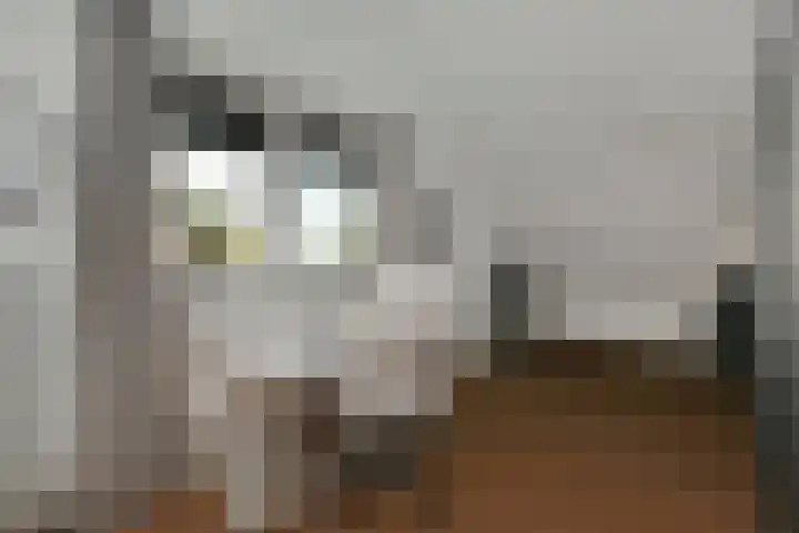 Koningin Julianastraat 38 Nootdorp thumbnail 45