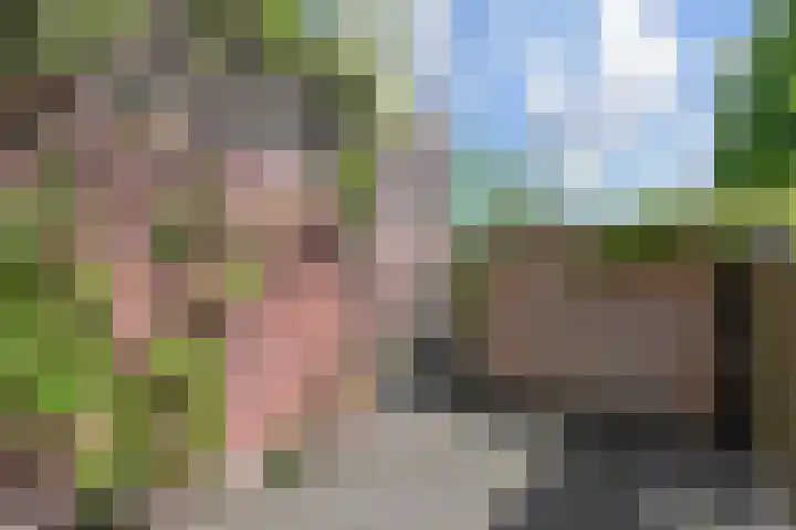 Koningin Julianastraat 38 Nootdorp thumbnail 50