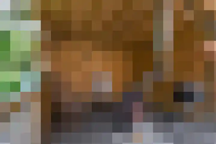 Koningin Julianastraat 38 Nootdorp thumbnail 52