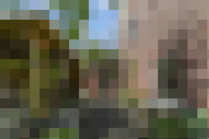 Koningin Julianastraat 38 Nootdorp thumbnail 7