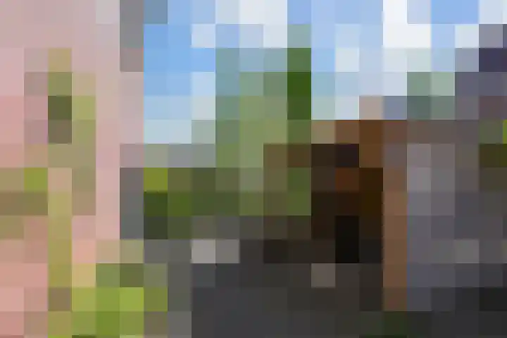 Koningin Julianastraat 38 Nootdorp thumbnail 8